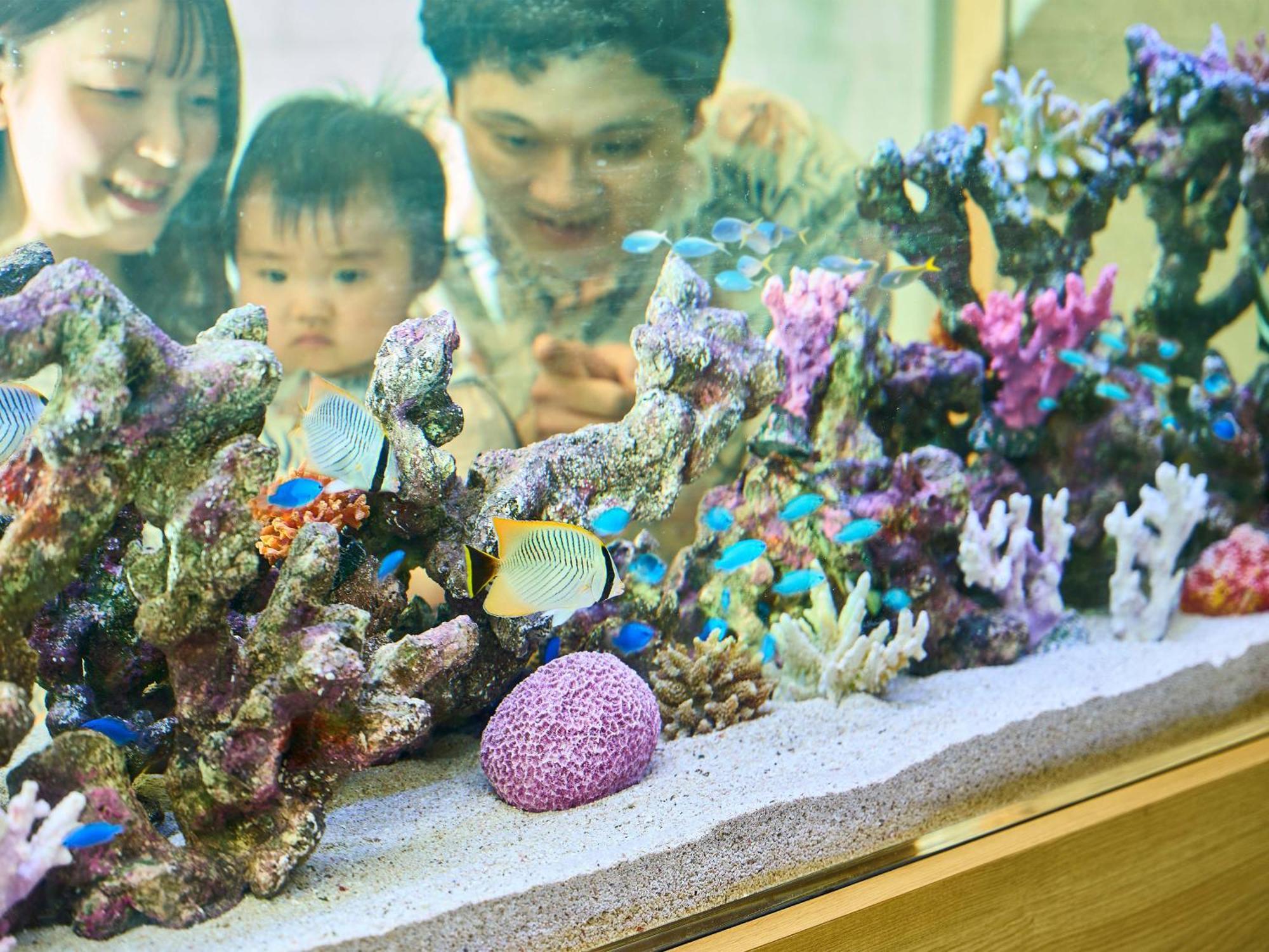 Daiwa Roynet Hotel Naha Kokusaidori Ngoại thất bức ảnh